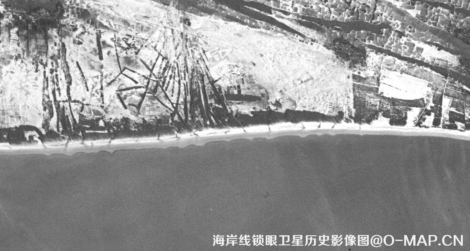 锁眼卫星拍摄的湛江市海岸线历史影像图