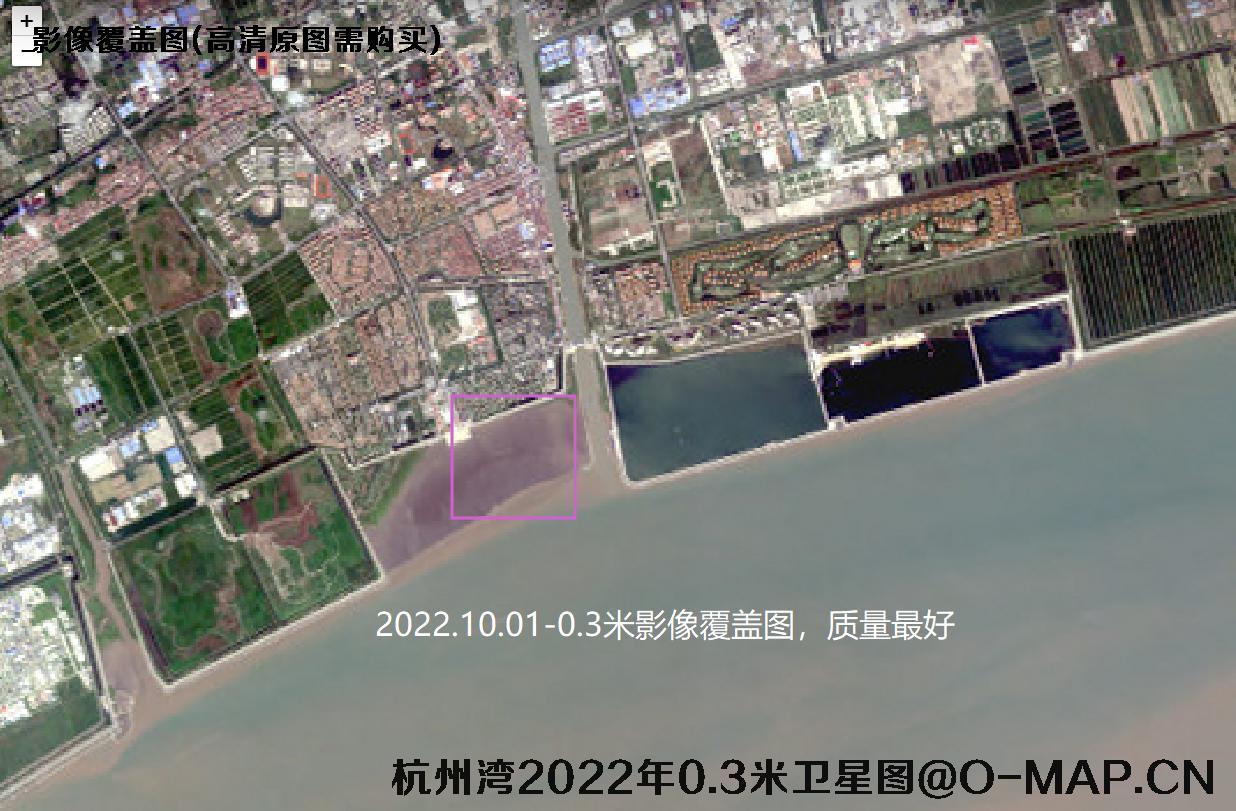 上海市奉贤区杭州湾北岸2022年【0.3-.5-0.8】米分辨率遥感影像数据查询结果