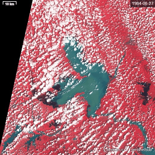 洪泽湖1984年到2013年植被变化卫星图