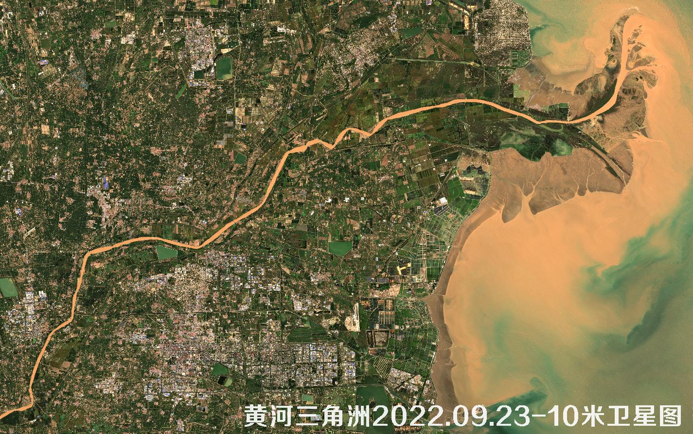 黄河三角洲2022年9月份最新10米分辨率卫星图片