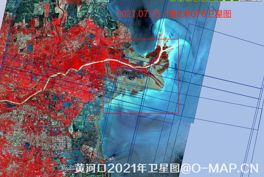 黄河口潮间带2021年最新卫星图