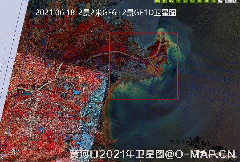 黄河口潮间带2021年最新卫星图