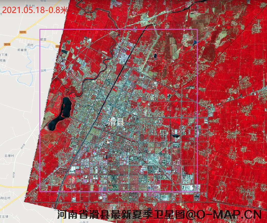 河南省滑县2021年夏季卫星图