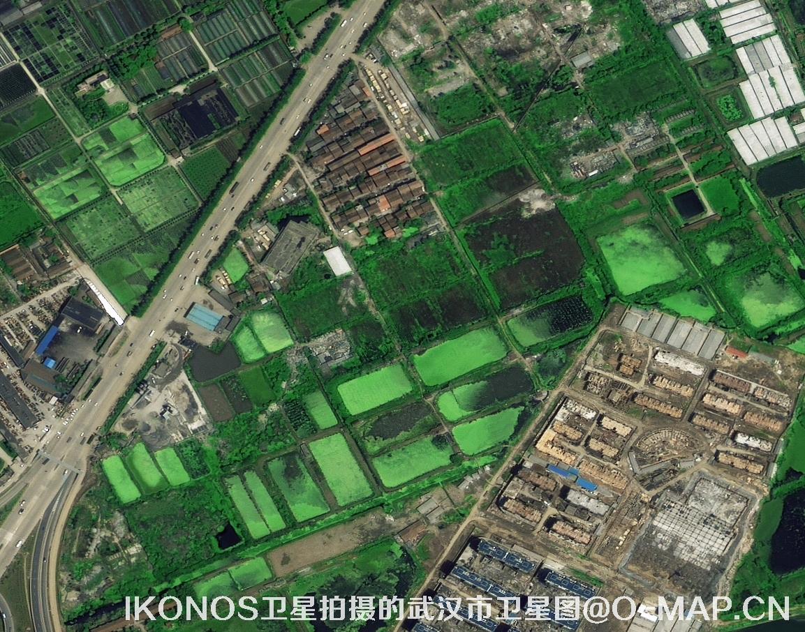 IKONOS卫星拍摄的0.8米影像图