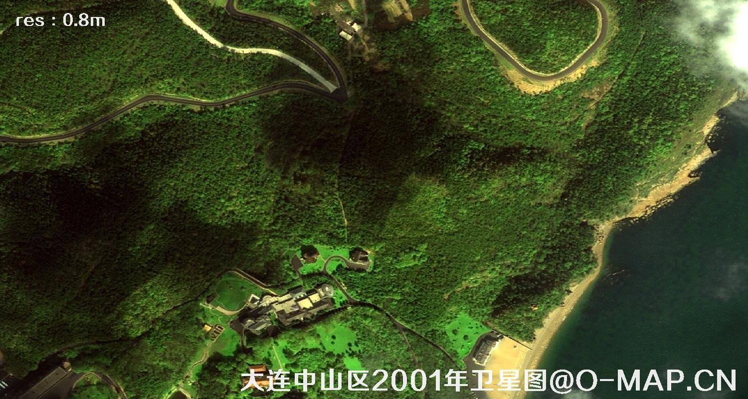 IKONOS卫星2001年拍摄的大连市中山区卫星影像图