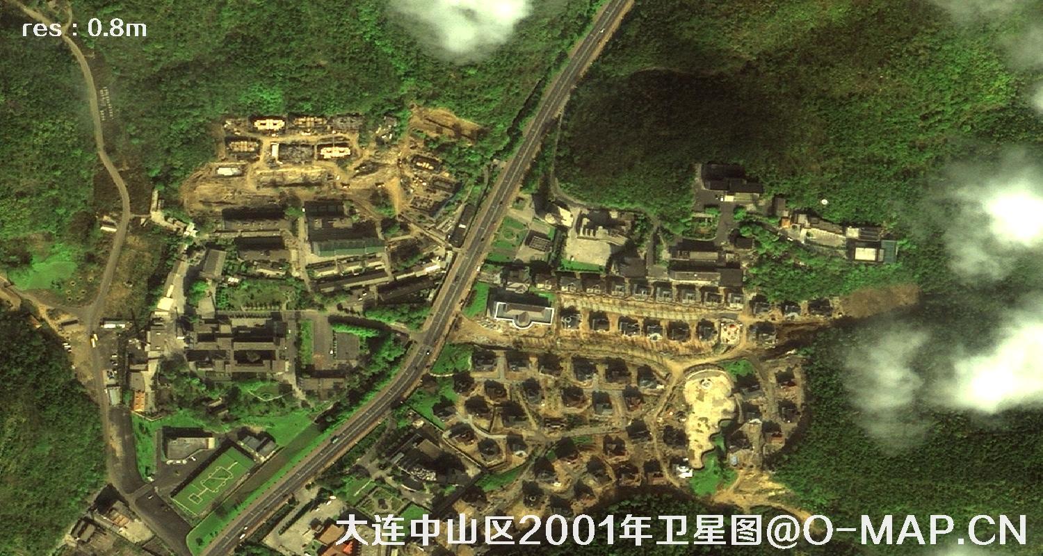 IKONOS卫星2001年拍摄的大连市中山区卫星影像图