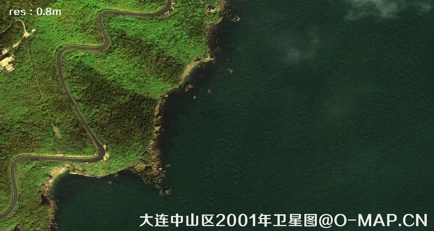 IKONOS卫星2001年拍摄的大连市中山区卫星影像图