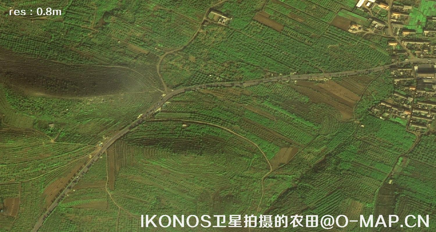 美国IKONOS卫星拍摄的农田卫星图片