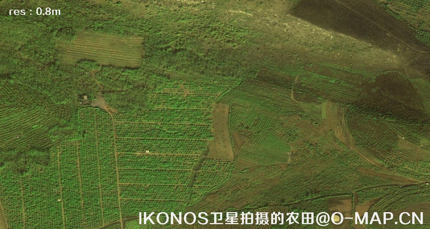 美国IKONOS卫星拍摄的农田卫星图片