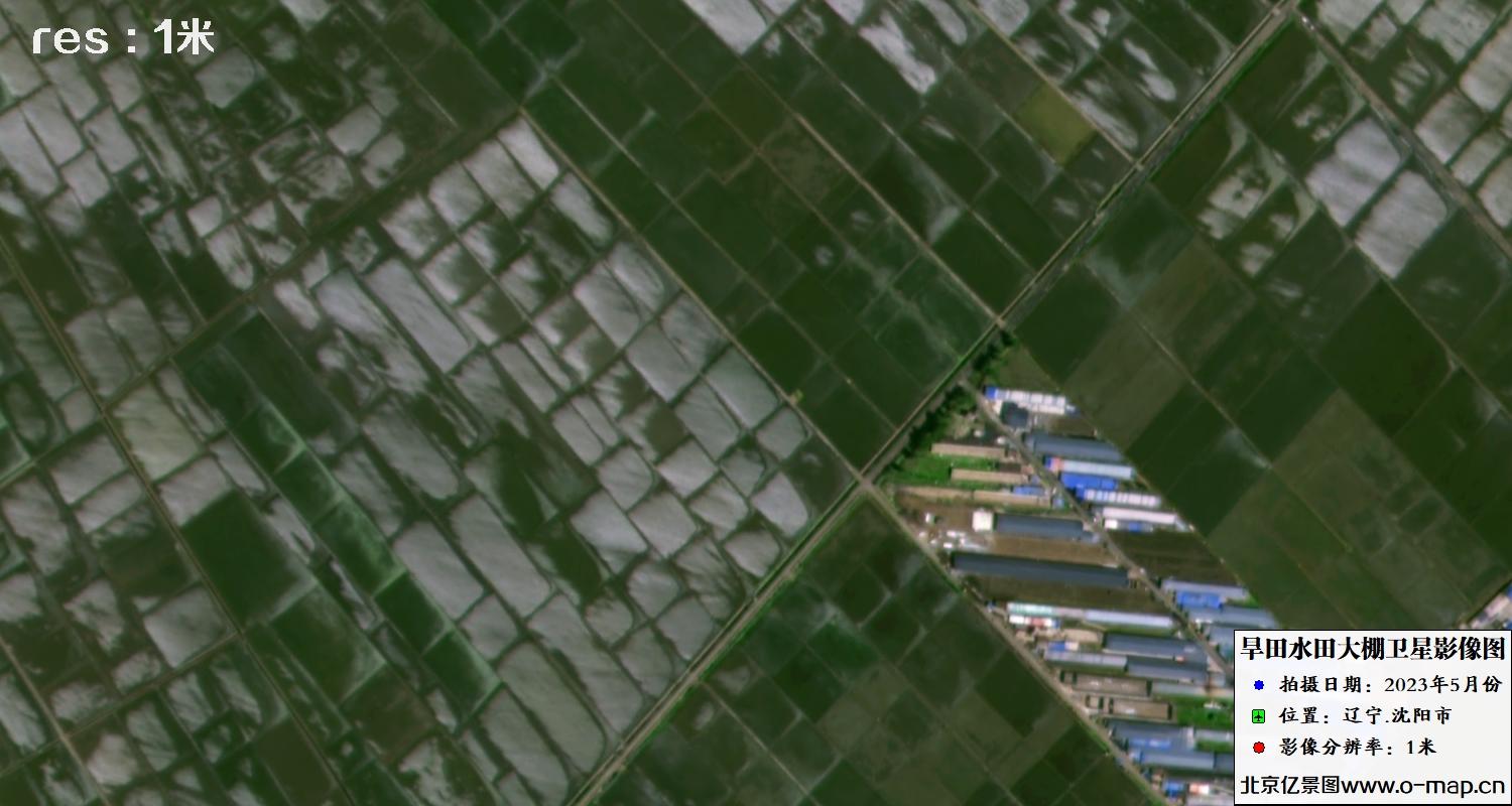 1米分辨率卫星拍摄的旱田、水田和大棚卫星图