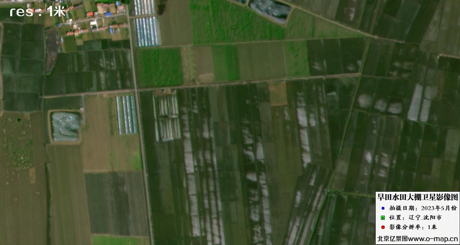 1米分辨率卫星拍摄的旱田、水田和大棚卫星图