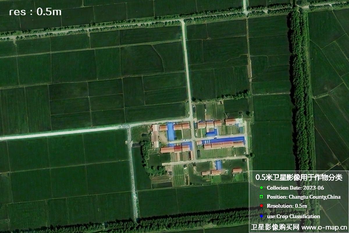 辽宁省昌图县2023年6月份农作物0.5米分辨率卫星影像