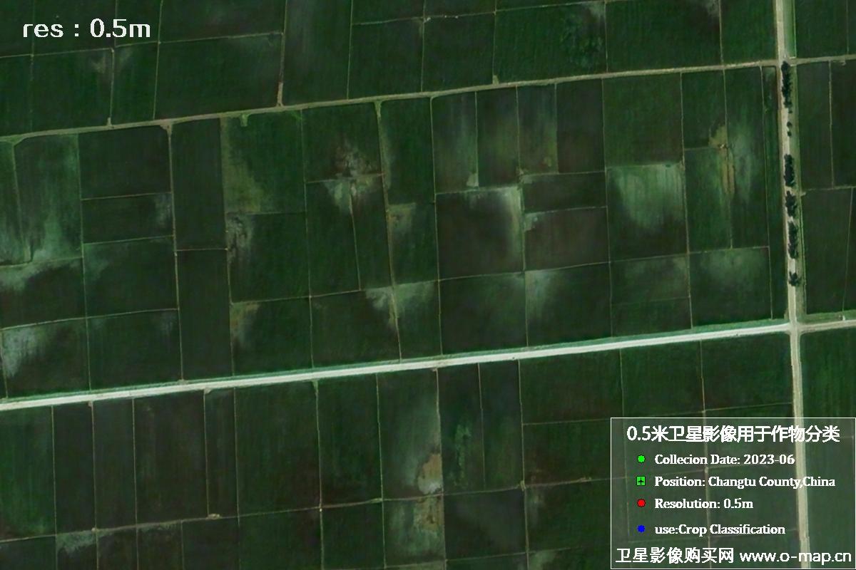 辽宁省昌图县2023年6月份农作物0.5米分辨率卫星影像
