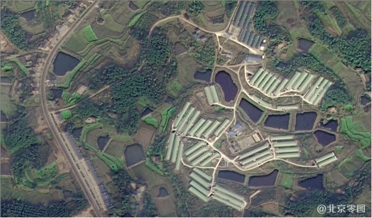 荆州市2015年和2017年卫星影像变化对比