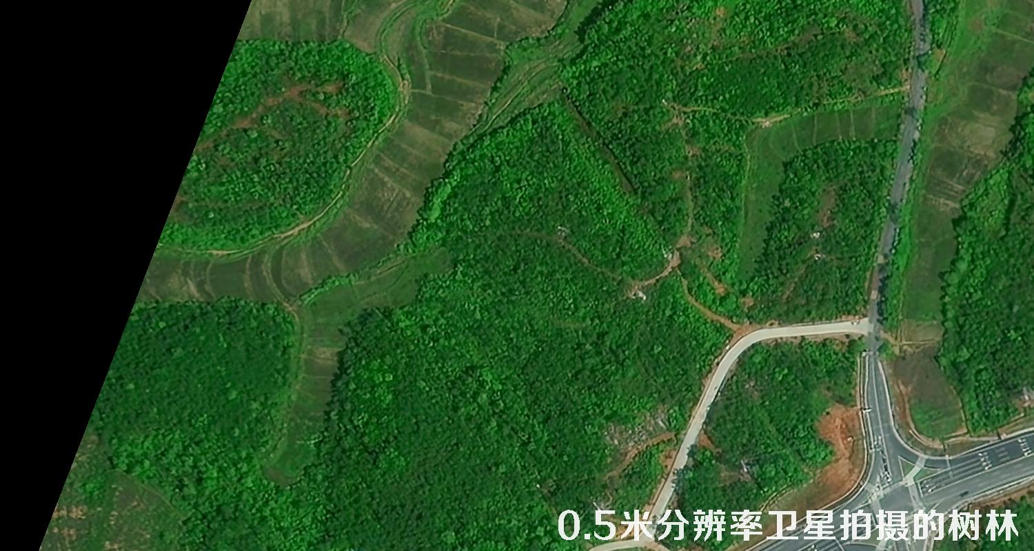 0.5米分辨率遥感卫星拍摄的树林卫星图