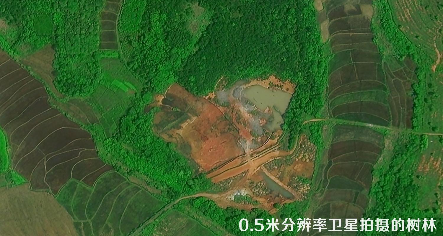 0.5米分辨率遥感卫星拍摄的树林卫星图