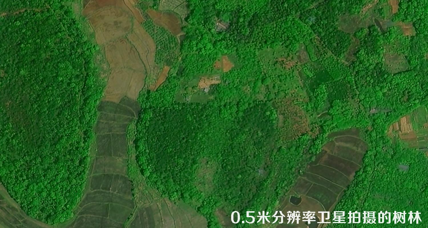 0.5米分辨率遥感卫星拍摄的树林卫星图