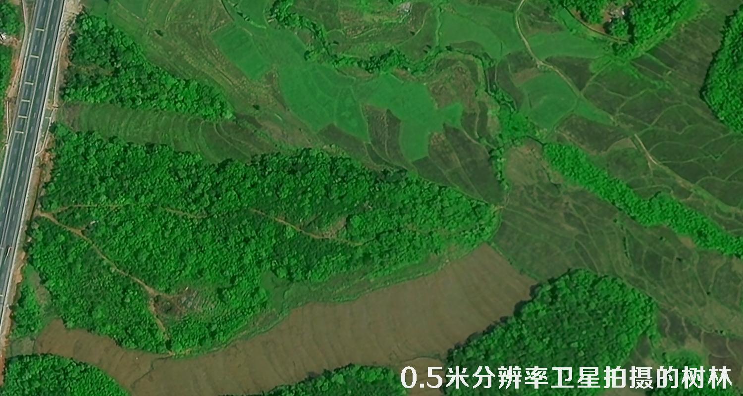 0.5米分辨率遥感卫星拍摄的树林卫星图
