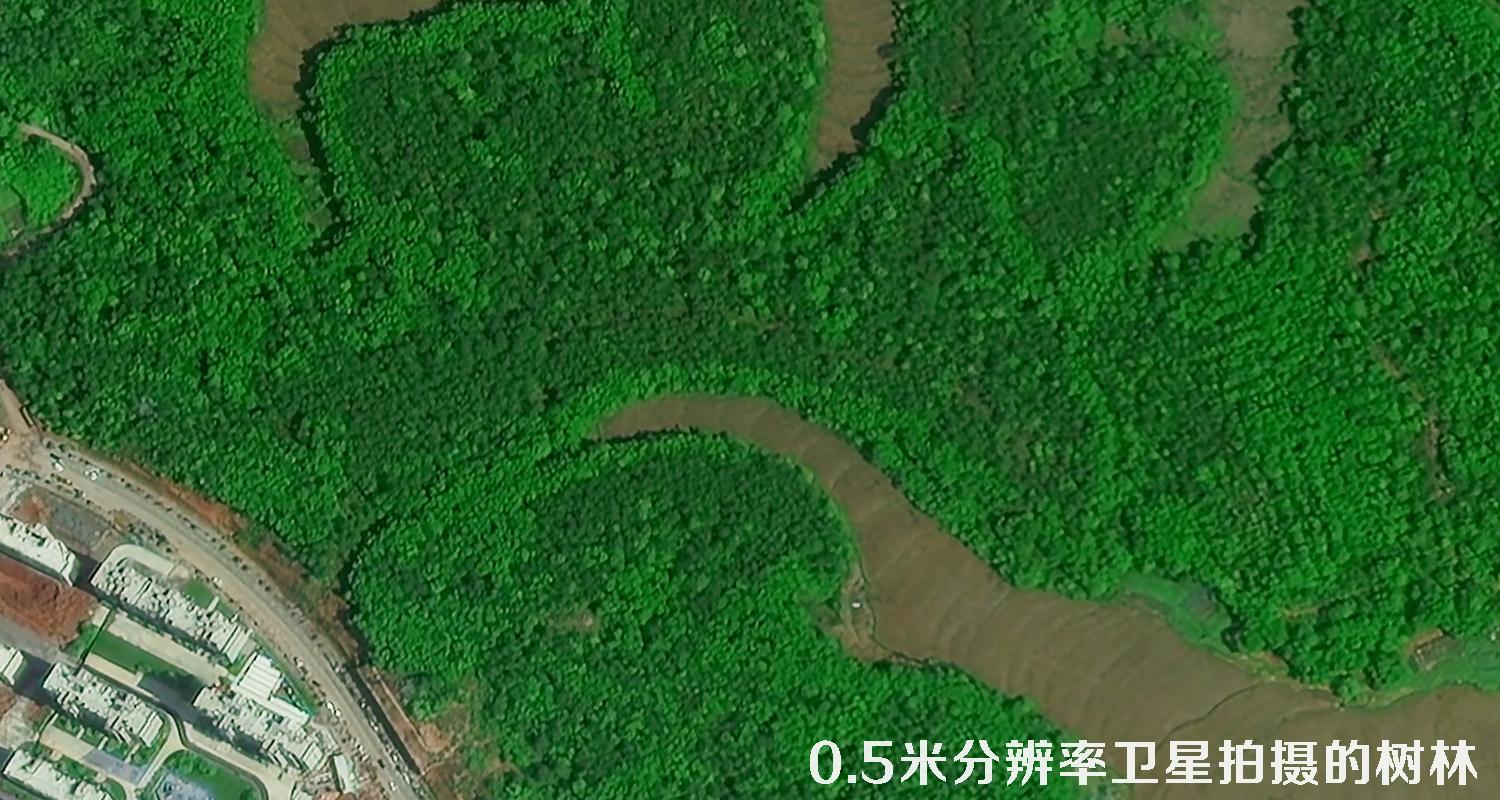 0.5米分辨率遥感卫星拍摄的树林卫星图