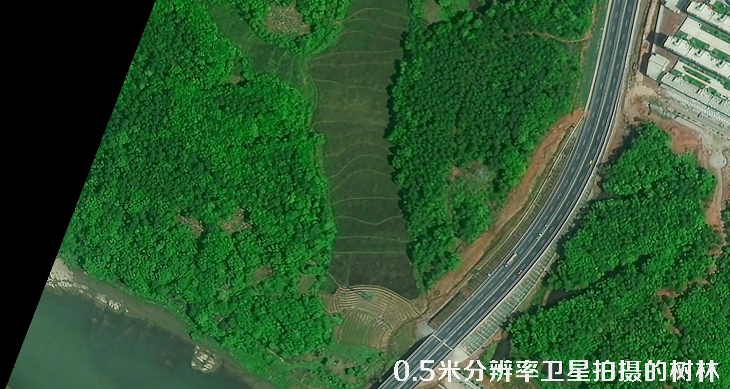 0.5米分辨率遥感卫星拍摄的树林卫星图