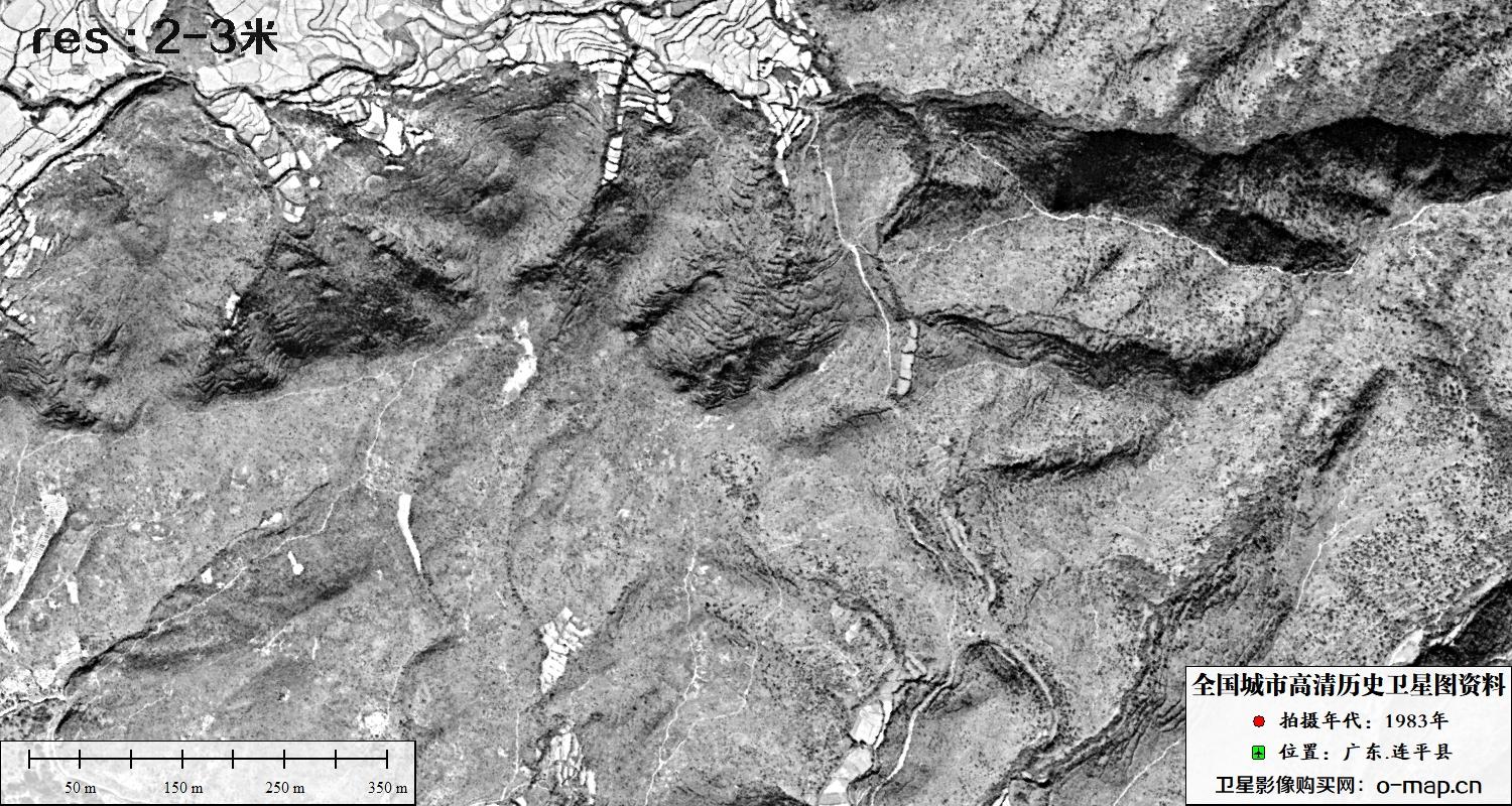 广东省连平县1983年历史影像地图资料