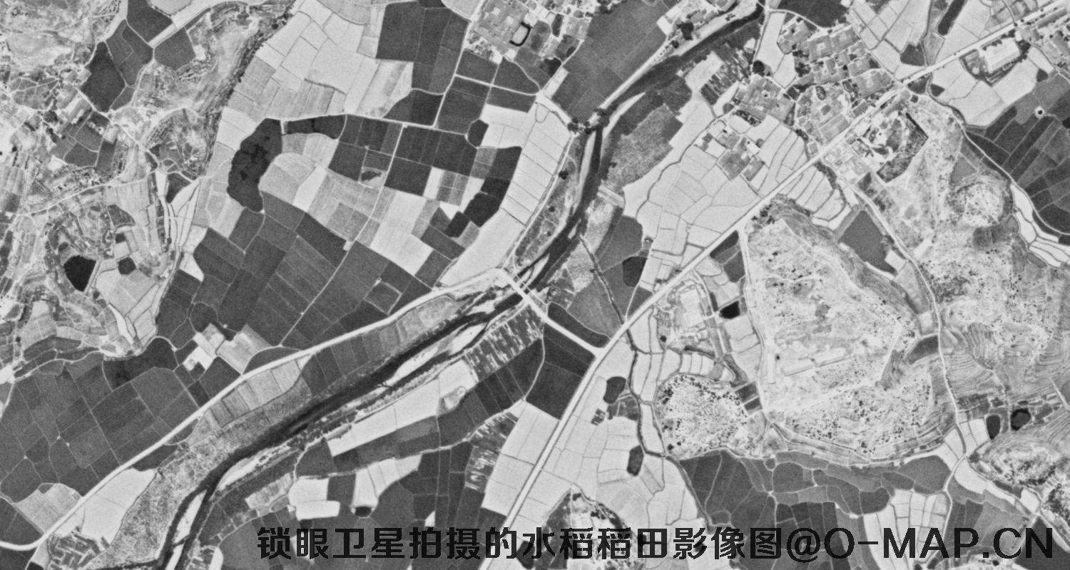 KeyHole锁眼卫星在广东地区拍摄的水稻稻田影像图