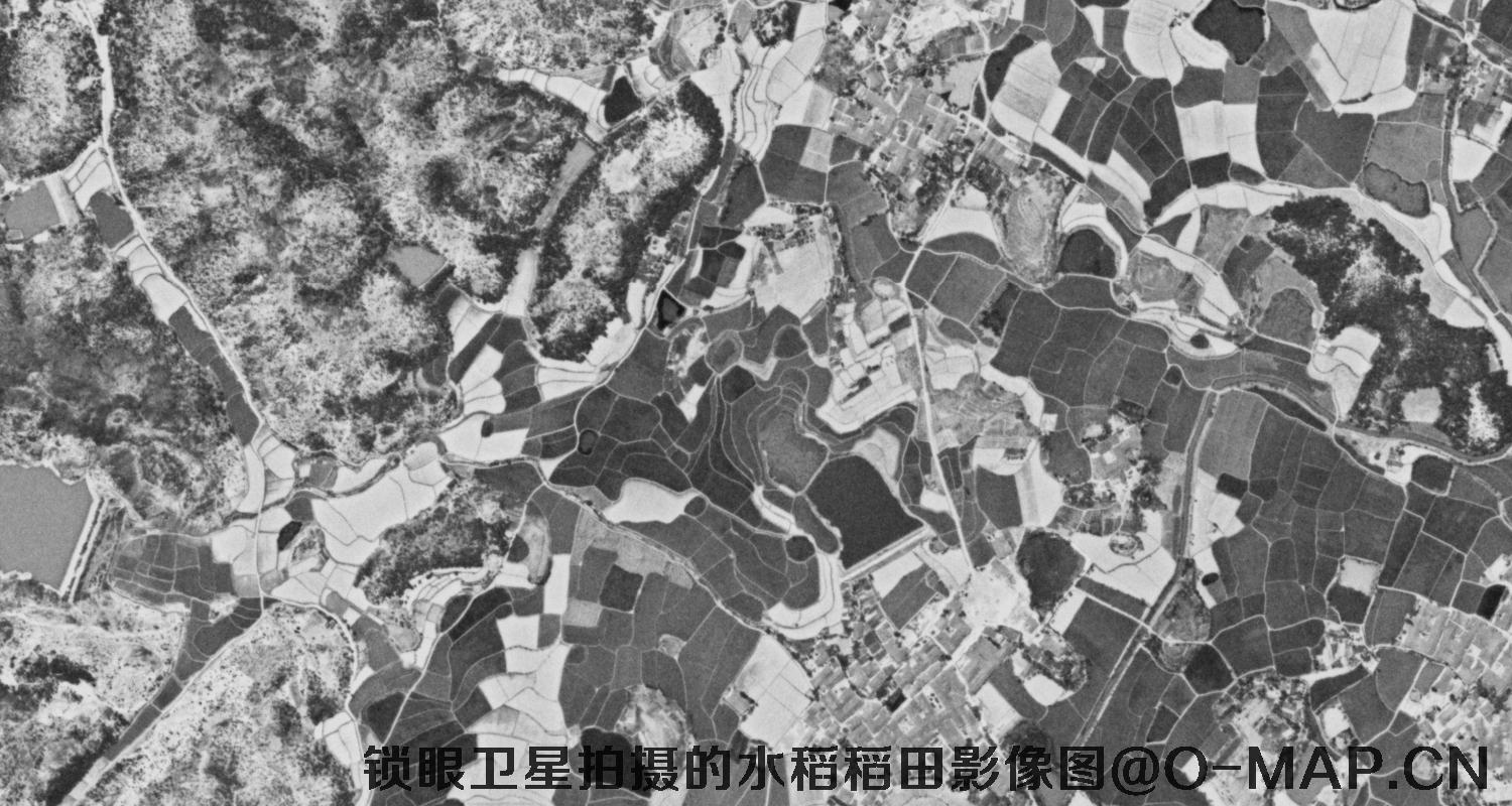 KeyHole锁眼卫星拍摄的高清黑白历史图像