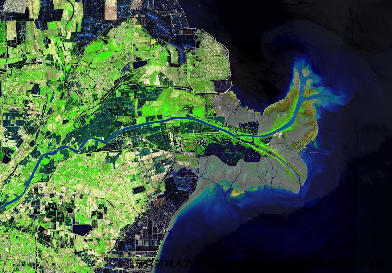 东营黄河入海口6月份卫星图及多光谱数据