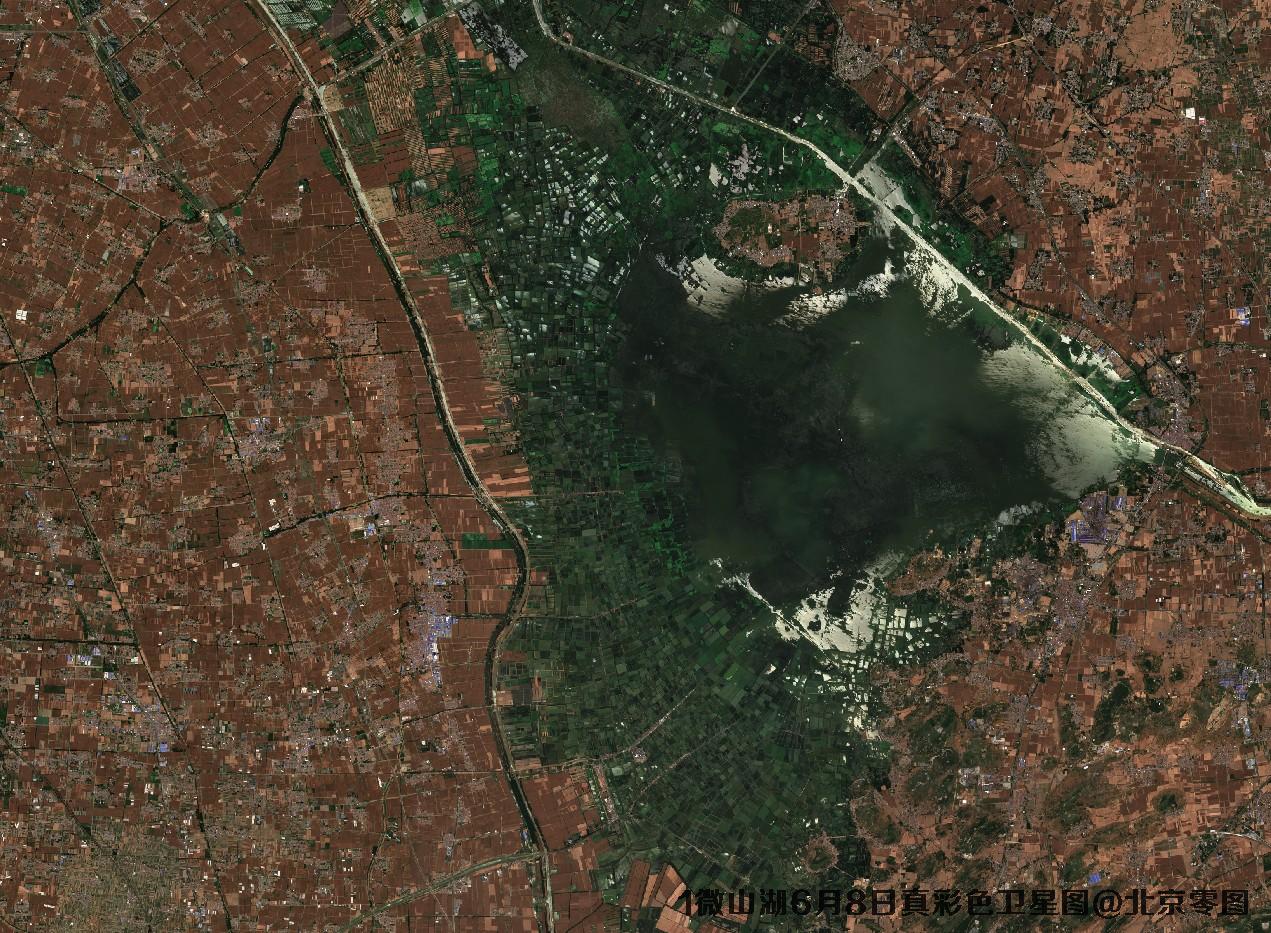 微山湖6月份卫星图及多光谱数据