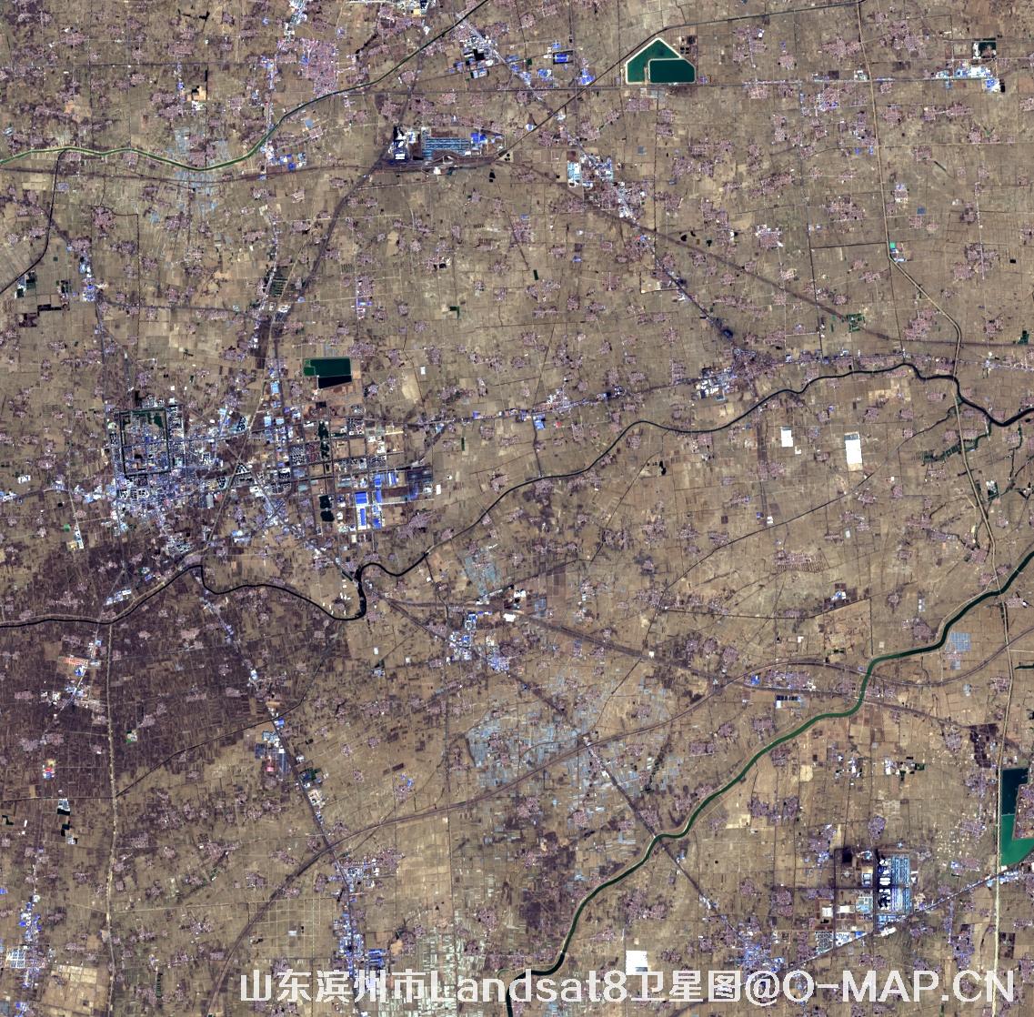 Landsat8卫星2022年3月份拍摄的山东省滨州市卫星图