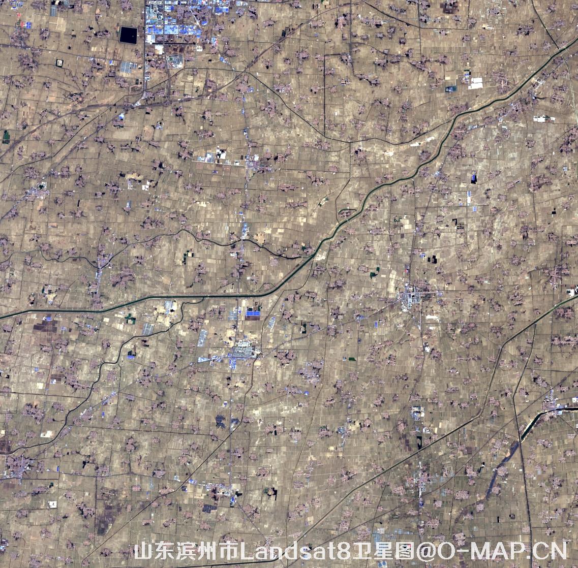Landsat8卫星2022年3月份拍摄的山东省滨州市卫星图