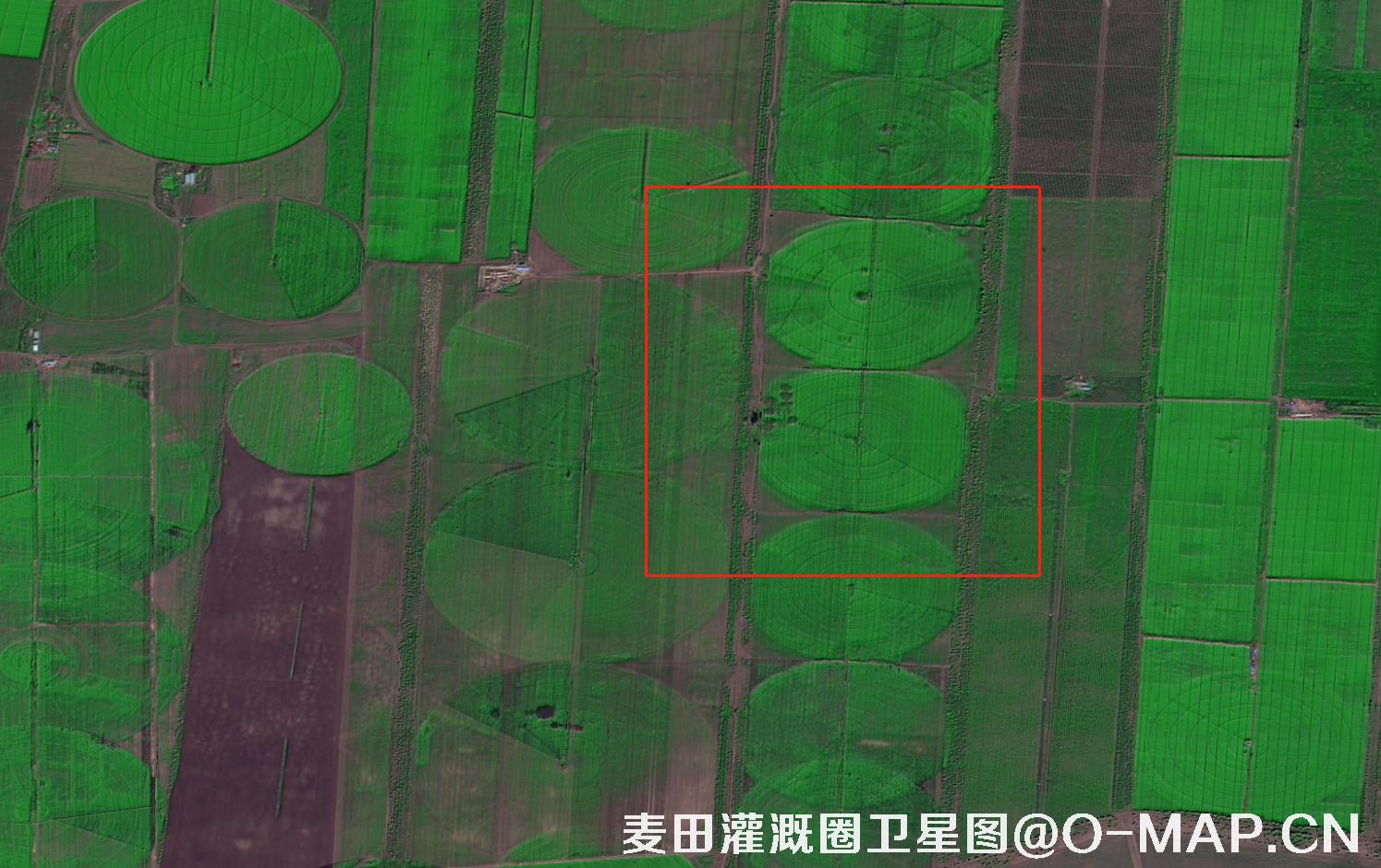 高分二号拍摄的麦田灌溉圈卫星图