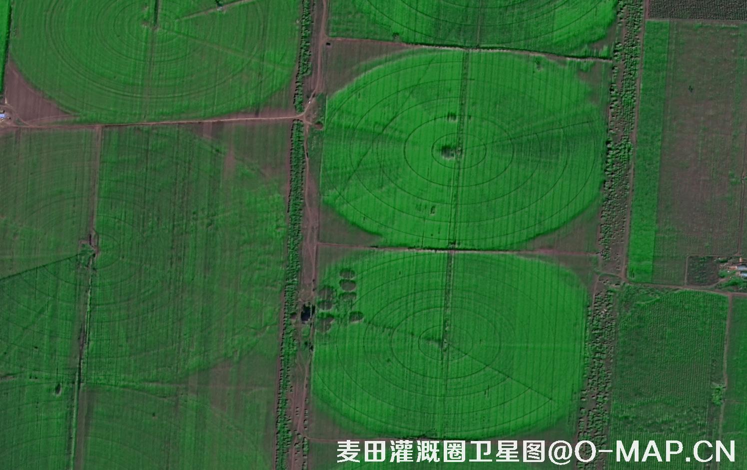 高分二号拍摄的麦田灌溉圈卫星图