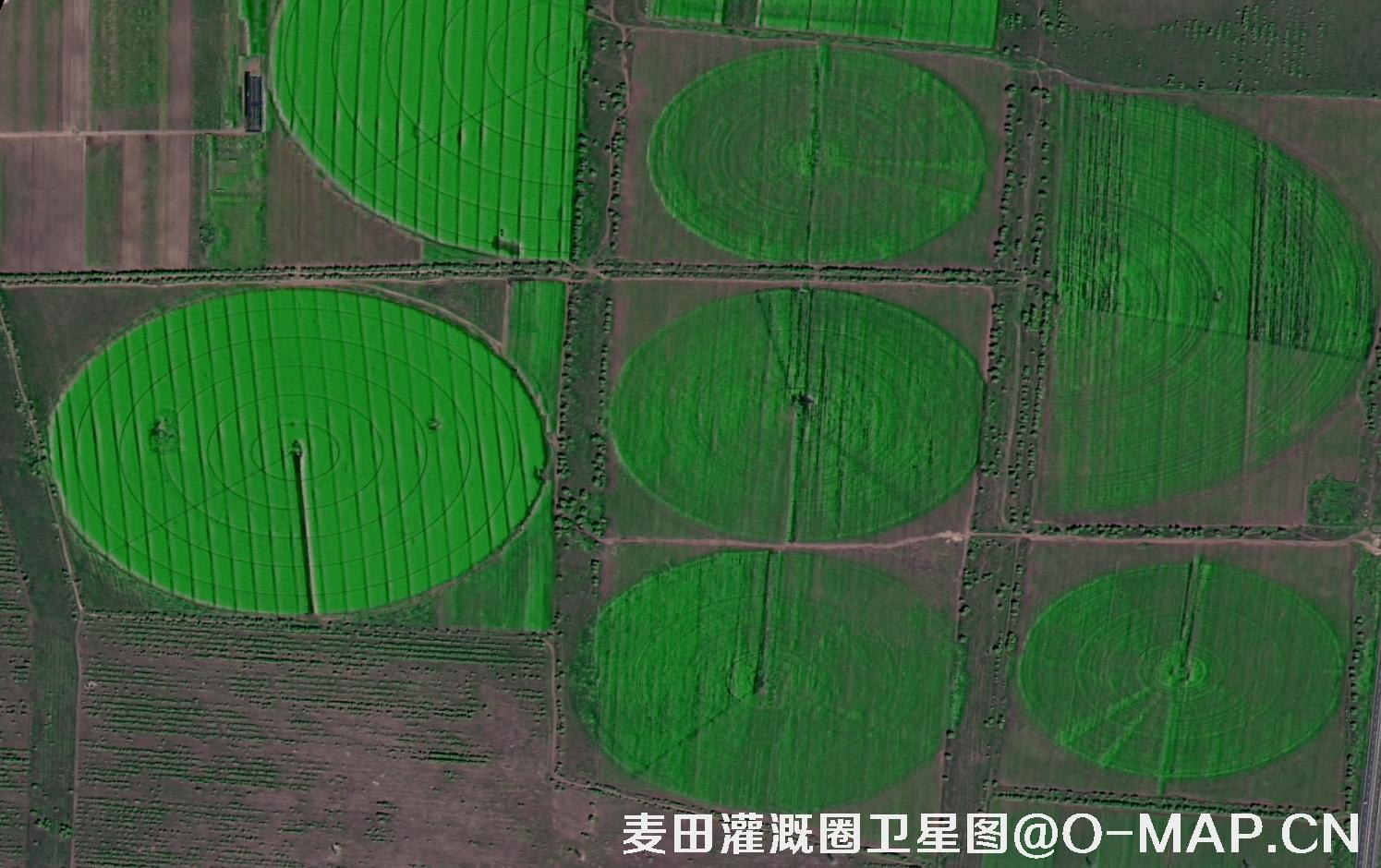 高分二号拍摄的麦田灌溉圈卫星图