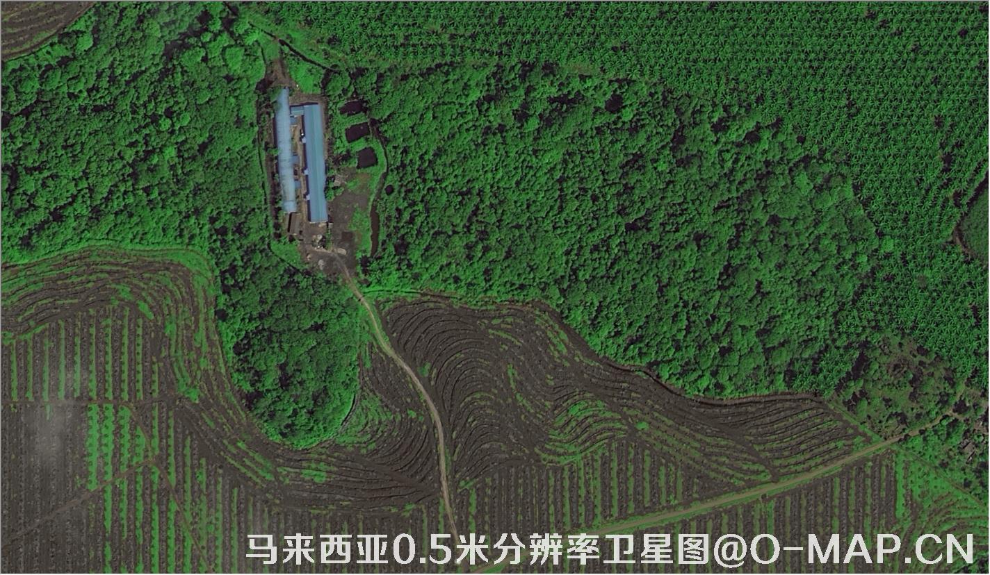 马来西亚0.5米分辨率卫星图购买样例