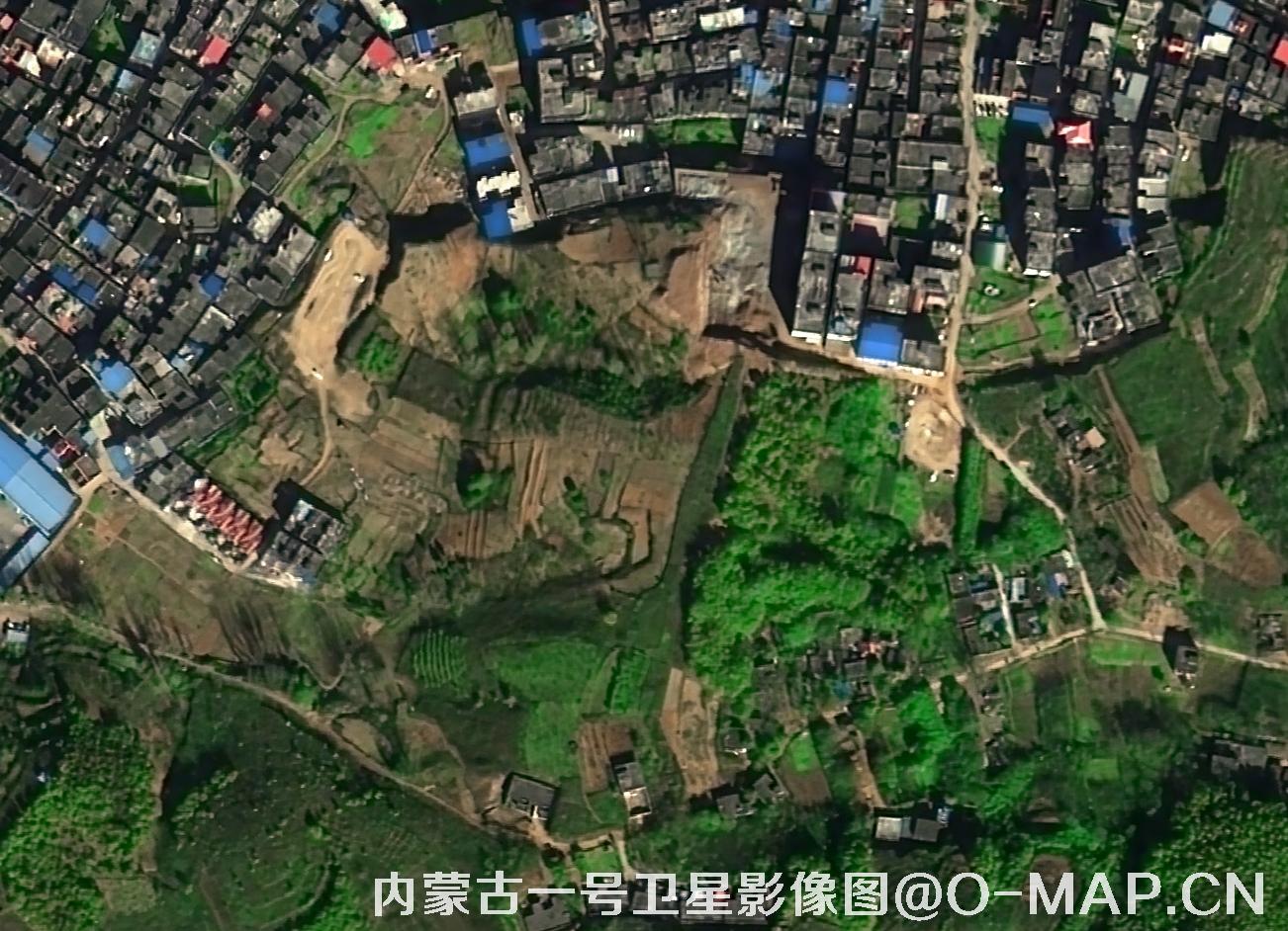内蒙古一号卫星拍摄的0.5米森林树木影像图