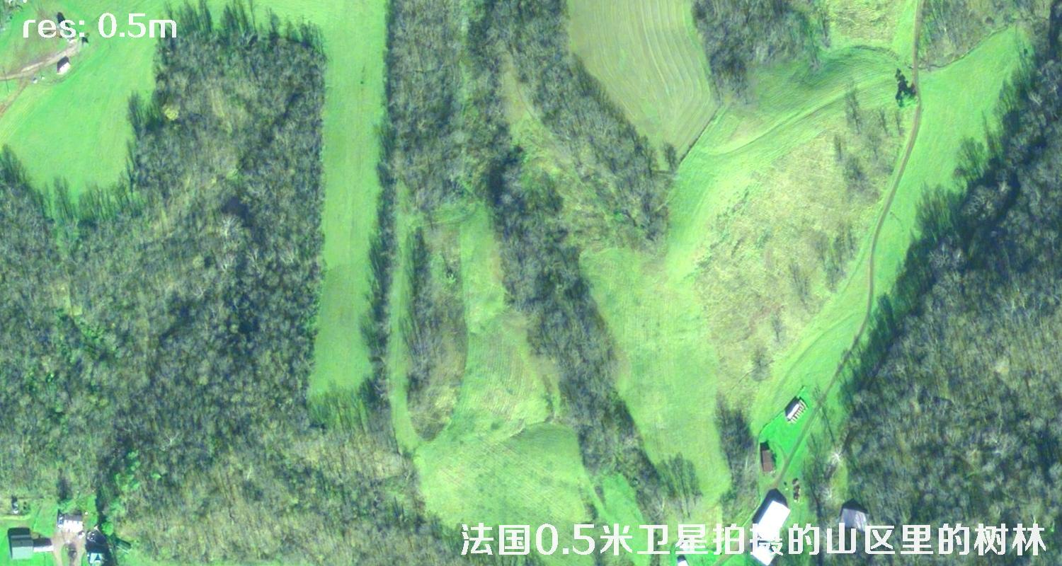 法国0.5米Pleiades卫星拍摄的山区里的树林卫星图