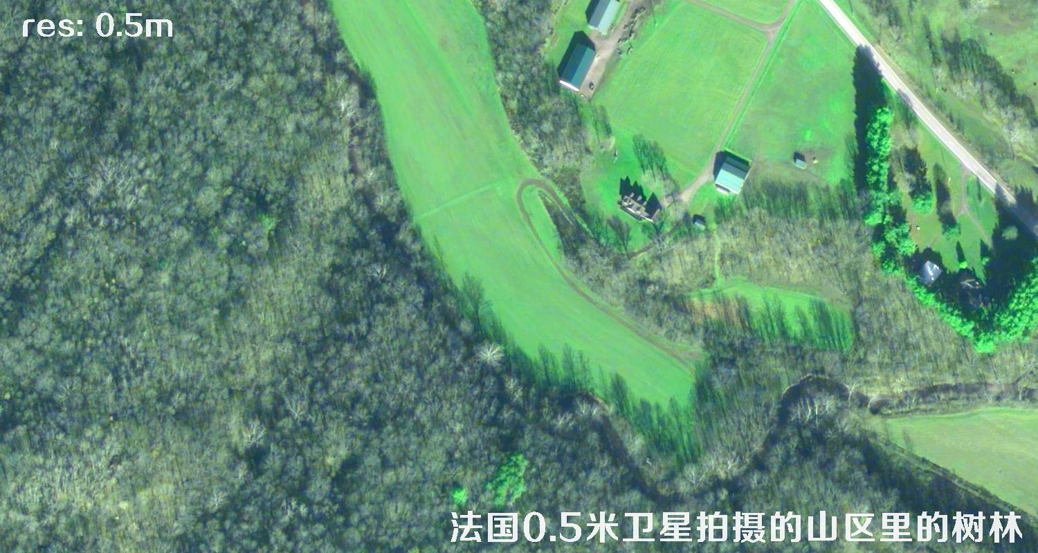 法国0.5米Pleiades卫星拍摄的山区里的树林卫星图
