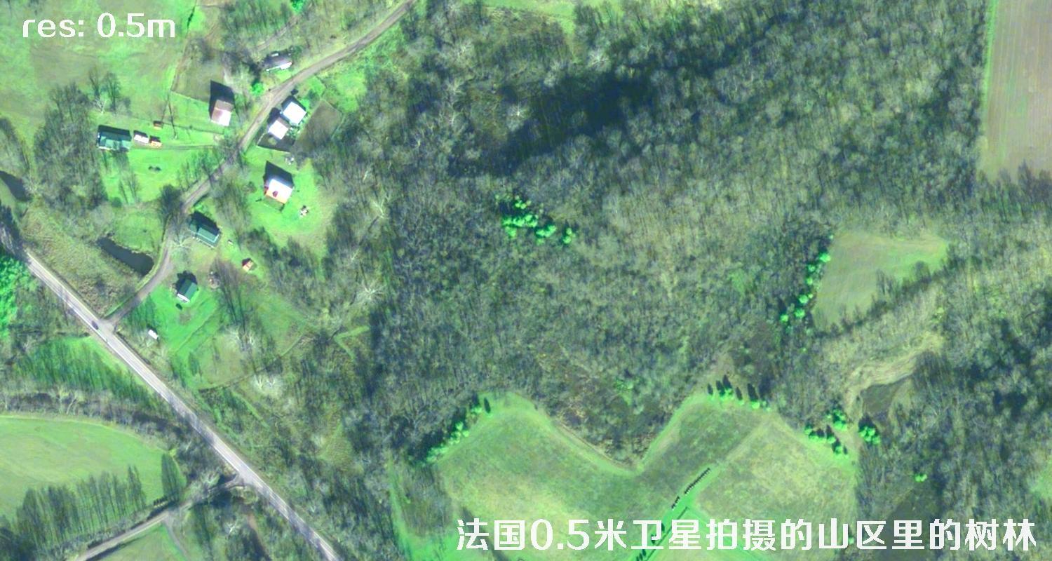 法国0.5米Pleiades卫星拍摄的山区里的树林卫星图