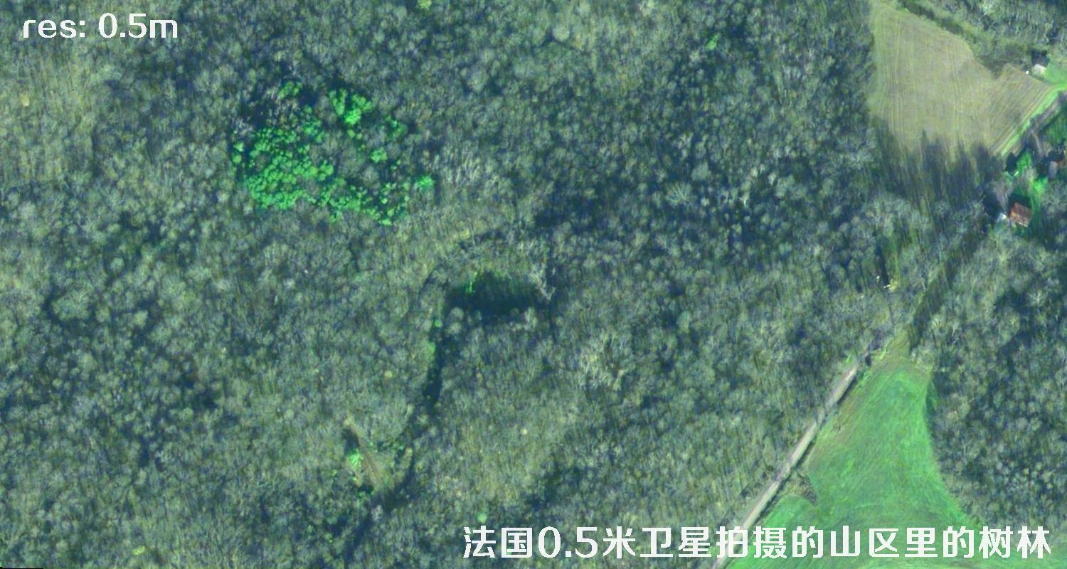 法国0.5米Pleiades卫星拍摄的山区里的树林卫星图