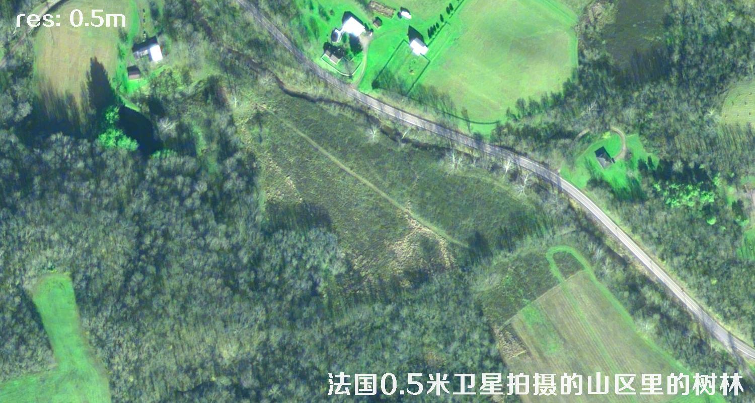 法国0.5米Pleiades卫星拍摄的山区里的树林卫星图