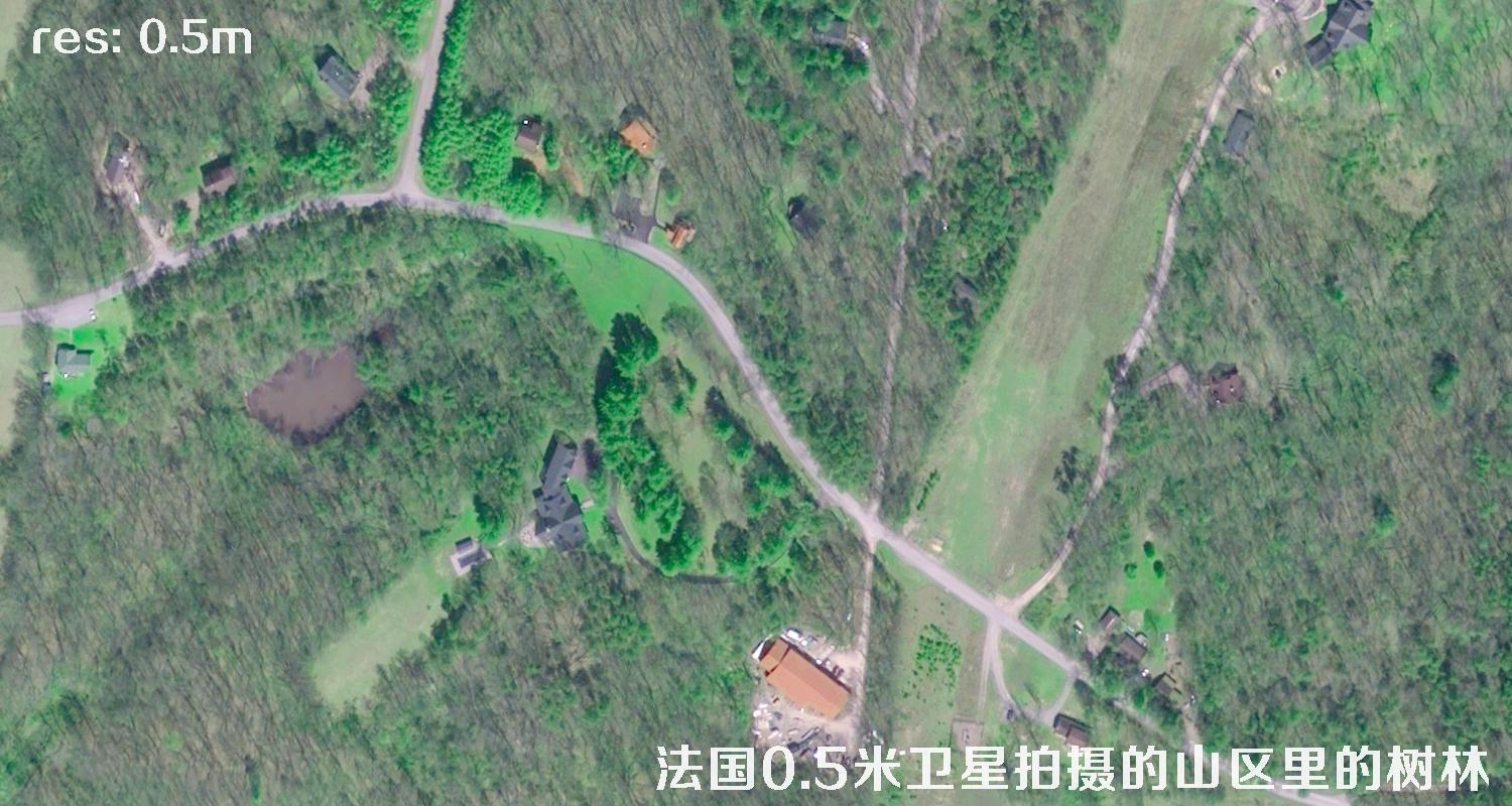 法国0.5米Pleiades卫星拍摄的山区里的树林卫星图