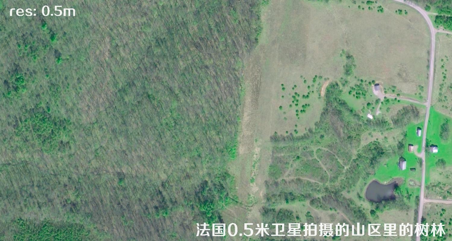 法国0.5米Pleiades卫星拍摄的山区里的树林卫星图