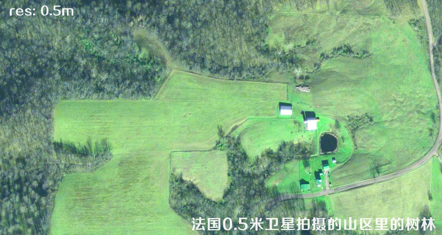 法国0.5米Pleiades卫星拍摄的山区里的树林卫星图