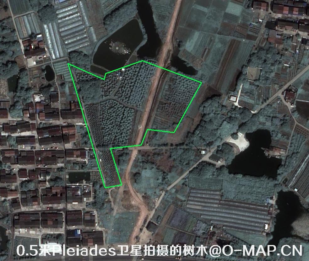 Pleiades卫星拍摄的0.5米分辨率树木卫星图片