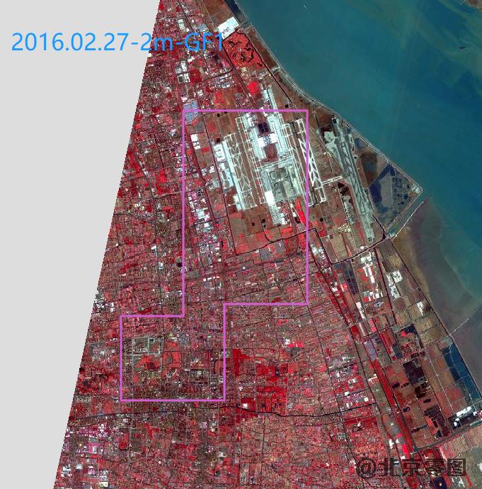 浦东机场卫星影像查询结果