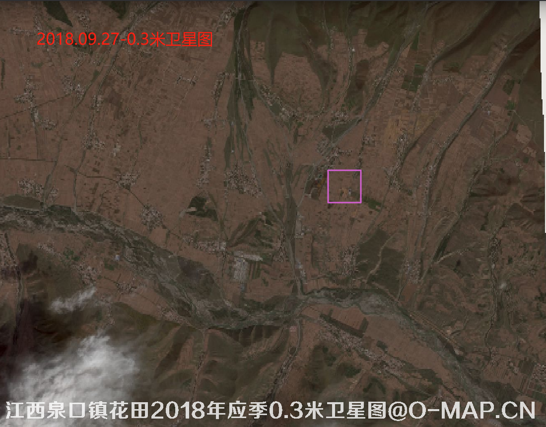 江西省泉口镇花田2018年花期0.3米WorldView3卫星图