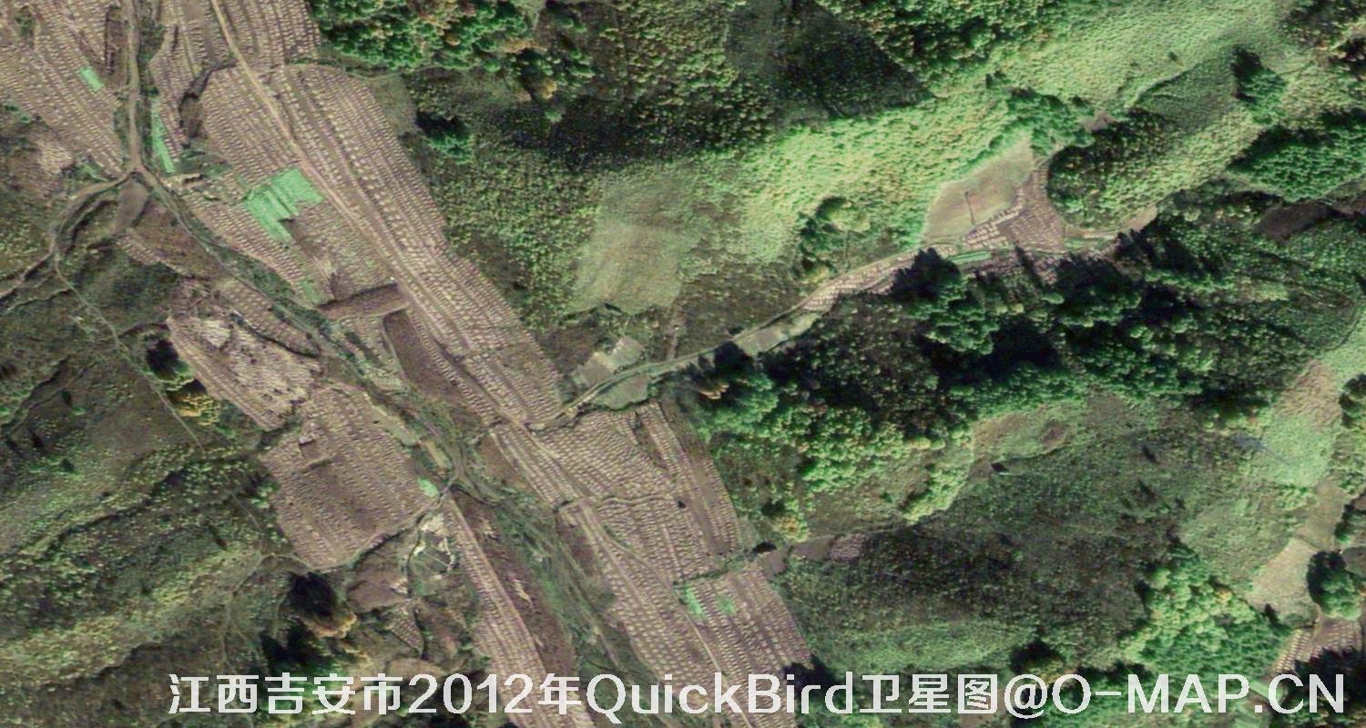 0.6米分辨率Quickbird卫星图