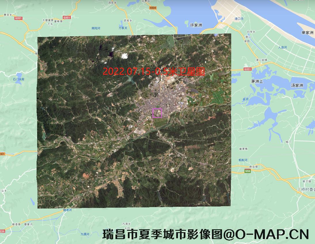 江西省瑞昌市夏季卫星图-用于园林城市申报