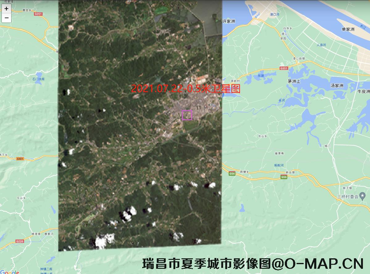 江西省瑞昌市夏季卫星图-用于园林城市申报
